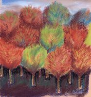 Autumn Colors